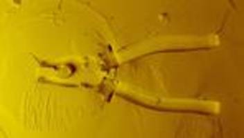 Heimwerken: »Der Backofen wurde extrem heiß. Dann gab es einen Knall«