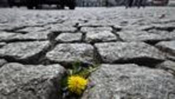 Wetter: Regen zieht ab – Sonne kehrt nach Thüringen zurück