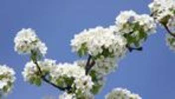 Wetter: Wieder Sonne in Sachsen-Anhalt