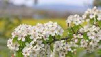 wetter: wieder sonne in sachsen