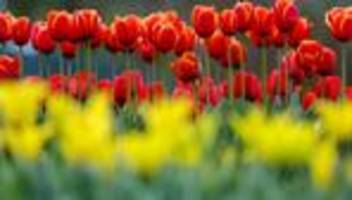 Wetterbericht: Wo im Südwesten die Sonne scheinen soll - und wo Regen droht