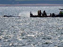 Drei Personen nicht mehr vor Ort: Team der privaten Walretter zerbricht