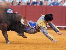 Notoperation am Gesäß: Stier durchbohrt Enddarm eines berühmten Matadors in Spanien