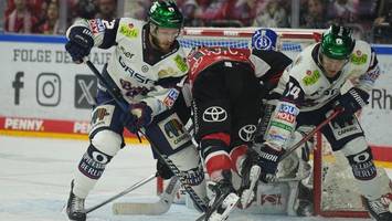 eisbären: ein team, das alle grenzen sprengt