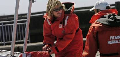 Buckelwal an der Ostsee: Gespräch mit Wal-Expertin Frances Gulland: wie befreit man Buckelwale?