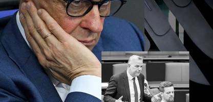 bundestag: die afd stänkert, friedrich merz stichelt – szenen einer parlamentsdebatte