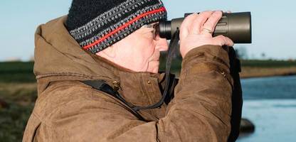 ostsee-wal »timmy«: minister till backhaus und die inszenierung eines rettungsdramas