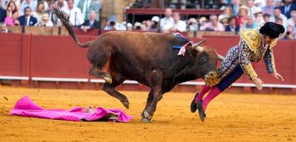 Spanien – Sevilla: Torero Morante de la Puebla bei Stierkampf schwer verletzt
