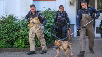 Kampfhund Rocky beißt Mädchen (2) fast tot: „Macht mich bis heute fertig“