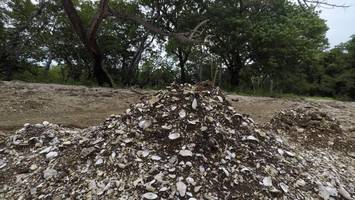 „fast-food“-riff von fidschi: dieses eiland besteht aus uralten essensresten