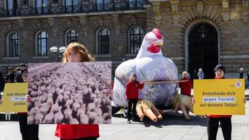 riesiges huhn vor dem hamburger rathaus: tierschützer mit besonderer aktion