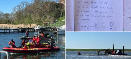 sie beten in der inselkirche, flüstern ihm zu und blicken in seine augen: der wahnsinn und der wal