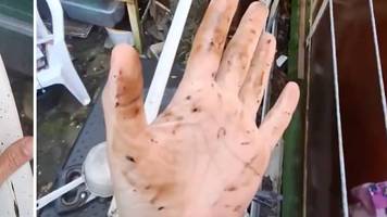 Schwarzer Öl-Regen nach Angriffen auf russische Raffinerie in Krasnodar