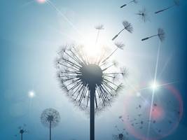 Samenspende: Er suchte seinen biologischen Vater – und fand 22 Halbgeschwister