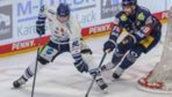 Deutsche Eishockey Liga: Urgestein Brandt verlängert bei den Straubing Tigers