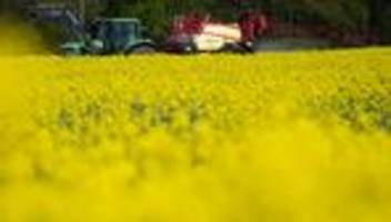 Energie vom Feld: Hessische Bauern plädieren für mehr Rapsöl im Biodiesel