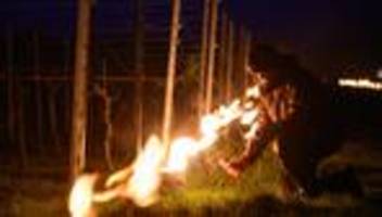 Nachts im Weinberg: Weinbauern schützen Reben vor spätem Frost