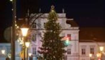 Weihnachten: Oranienburg sucht Weihnachtsbaum für den Schlossplatz