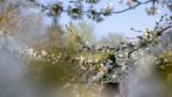 Wetter: Sonne und Wärme in Aussicht