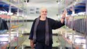 Wissenschaft und Schule: Nobelpreisträgerin Nüsslein-Volhard: »In Bio nur eine Zwei«