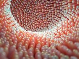 mikrobiom als frühwarnsystem: parkinson könnte sich jahre vorher im darm zeigen