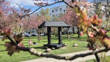 Besonderes Wahrzeichen: Japanisches Tor in Wartenberg restauriert