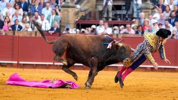 Stier rammt Torero Horn in den Po: „Größter Schmerz, den ich je gespürt habe“