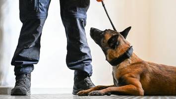 stichsichere schals für jva-beamte: berliner gefängnisse sollen aufrüsten