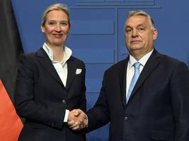 außenpolitik am rechten rand: was macht die afd ohne orbán und trump?