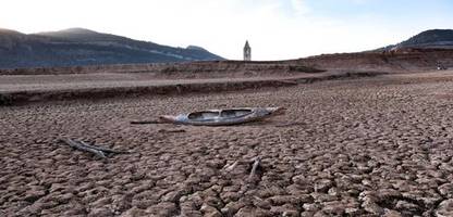 Klimawandel: Wie Hitze, Pollen und Viren Europas Gesundheit belasten