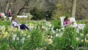 Park-Ranking 2026: Hamburg ist spitze – und räumt gleich mehrfach ab