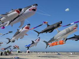 weltmeisterschaft im drachenfliegen: wenn meerestiere am himmel tanzen