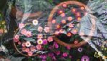 Bayern-Wetter: Bis zu 21 Grad am Tag - nachts Bodenfrost möglich