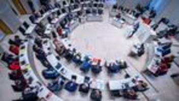 Buckelwal vor Poel: Wal-Drama erreicht Landtag von MV