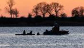 Buckelwal vor Poel: Wal-Rettung: Lastkahn soll eingesetzt werden