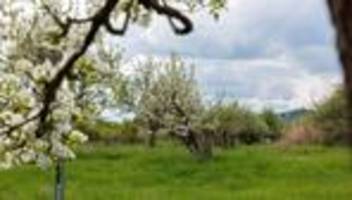 Natur: Mühe lohnt sich - Streuobstwiesen wichtig für Artenvielfalt