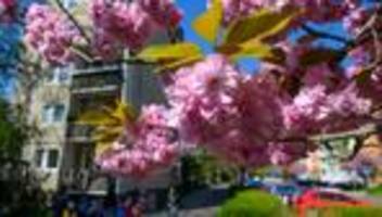 Wetter: Frühlingshafte Temperaturen im Osten möglich