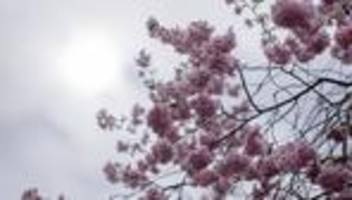 Wetter: Nebel und Sonne in Berlin und Brandenburg