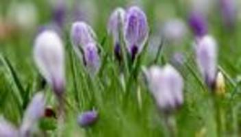 Wetteraussichten: Meist trocken und zeitweise sonnig im Niedersachsen