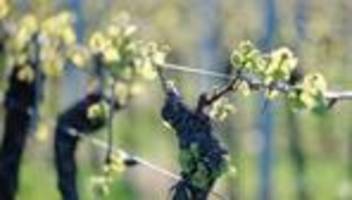 Wetterbericht: Hier soll heute die 20-Grad-Marke geknackt werden