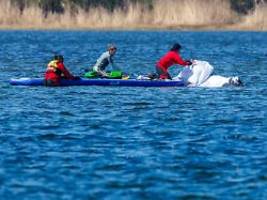 Berlin Tag & Macht: Es gibt da eine Parallele zwischen Wal Timmy und Wolfgang Kubicki