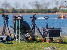 Sowas gab's hier noch nicht: Poeler Inselbewohner sprachlos über Wal-Trubel