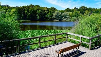 Warum diesen Ort in der Natur jeder Berliner mal besuchen sollte