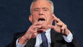 deutsches sauerkraut boomt in den usa – dank trumps gesundheitsminister