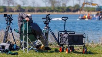 aufregung um wal - „wir poeler sind sprachlos”