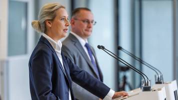 Pornohefte in der Schule und Correctiv – so punktet die AfD