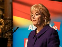 Desiderius-Erasmus-Stiftung und AfD: Finanzieren Steuergelder bald eine rechte Nachwuchsschmiede?