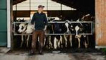 arbeitsbelastung in der tiermedizin: »ich verstehe, weshalb so viele tierärzte depressiv sind«