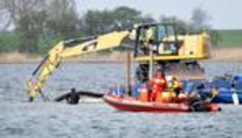 Gestrandeter Buckelwal: Geldgeber Gunz will weiter Wal-Transport »bis zum Ende«