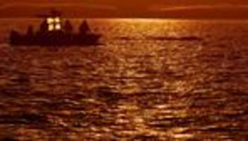 Gestrandeter Buckelwal: Wal-Hilfsteam muss am Rettungskonzept feilen